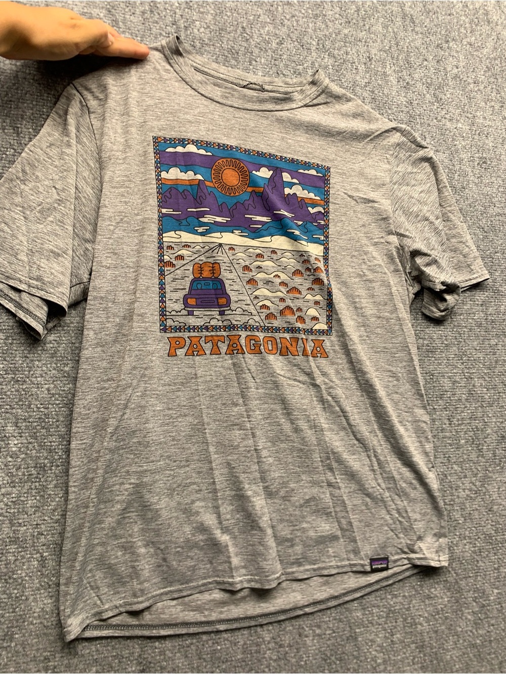Patagonia Light Gray Graphic Tee with Colorful Mountain Scene Capilene Cool